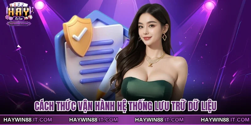 Chính Sách Bảo Mật 3 Cách thức vận hành hệ thống lưu trữ dữ liệu