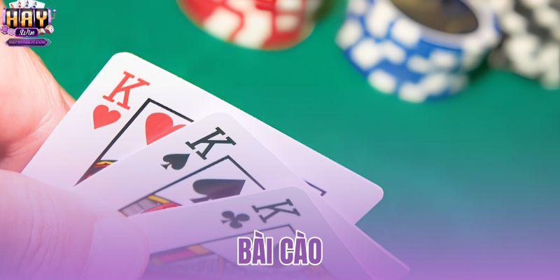 Bài cào