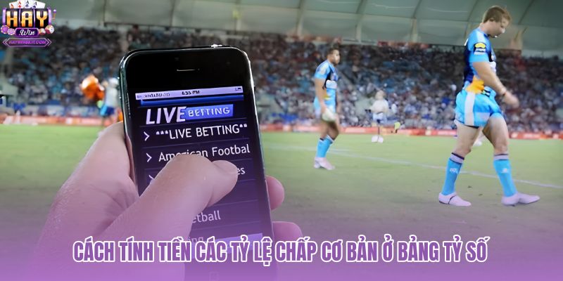 cach-tinh-tien-cac-ty-le-chap-co-ban-o-bang-ty-so cach-tinh-tien-cac-ty-le-chap-co-ban-o-bang-ty-so