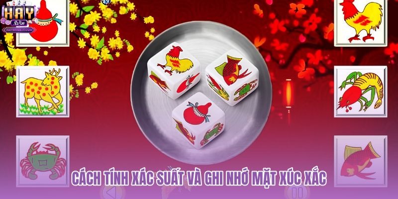 cach-tinh-xac-suat-va-ghi-nho-mat-xuc-xac cach-tinh-xac-suat-va-ghi-nho-mat-xuc-xac