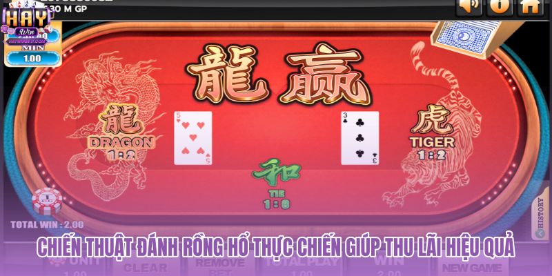chien-thuat-danh-rong-ho-thuc-chien-giup-thu-lai-hieu-qua chien-thuat-danh-rong-ho-thuc-chien-giup-thu-lai-hieu-qua