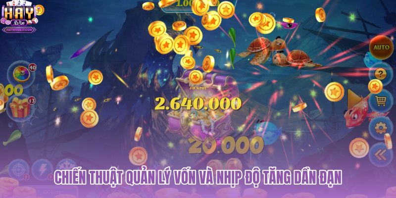chien-thuat-quan-ly-von-va-nhip-do-tang-dan-dan