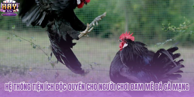 he-thong-tien-ich-doc-quyen-cho-nguoi-choi-dam-me-da-ga-mang he-thong-tien-ich-doc-quyen-cho-nguoi-choi-dam-me-da-ga-mang