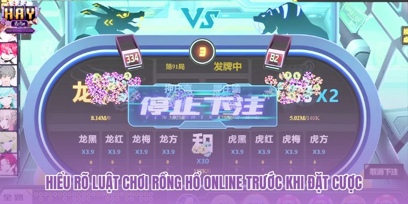 hieu-ro-luat-choi-rong-ho-online-truoc-khi-dat-cuoc hieu-ro-luat-choi-rong-ho-online-truoc-khi-dat-cuoc
