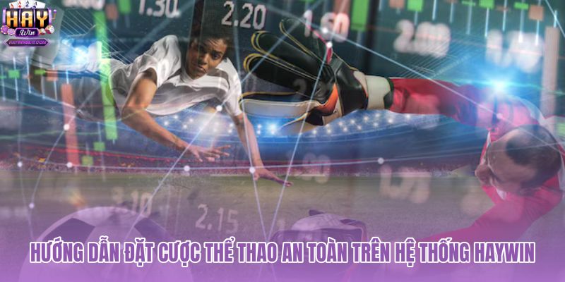 huong-dan-dat-cuoc-the-thao-an-toan-tren-he-thong-haywin