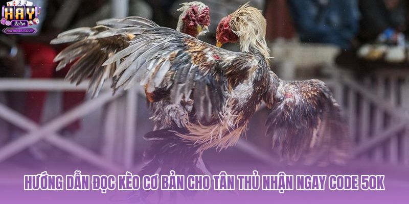 huong-dan-doc-keo-co-ban-cho-tan-thu-nhan-ngay-code-50k huong-dan-doc-keo-co-ban-cho-tan-thu-nhan-ngay-code-50k