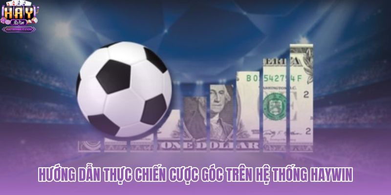 huong-dan-thuc-chien-cuoc-goc-tren-he-thong-haywin