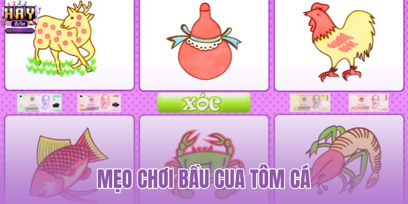 mẹo chơi bầu cua tôm cá