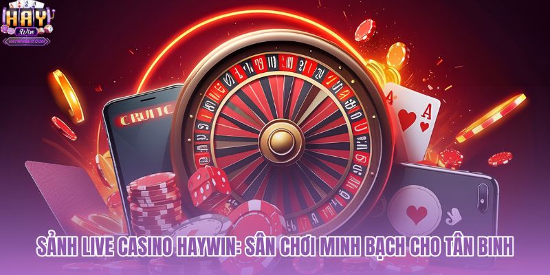 sanh-live-casino-haywin-san-choi-minh-bach-cho-tan-binh sanh-live-casino-haywin-san-choi-minh-bach-cho-tan-binh