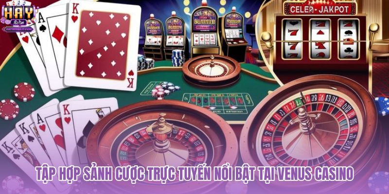 tap-hop-sanh-cuoc-truc-tuyen-noi-bat-tai-venus-casino