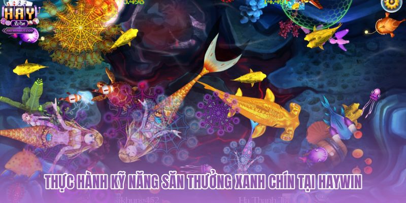 thuc-hanh-ky-nang-san-thuong-xanh-chin-tai-haywin